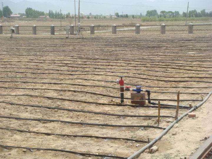 Drip irrigation for crop