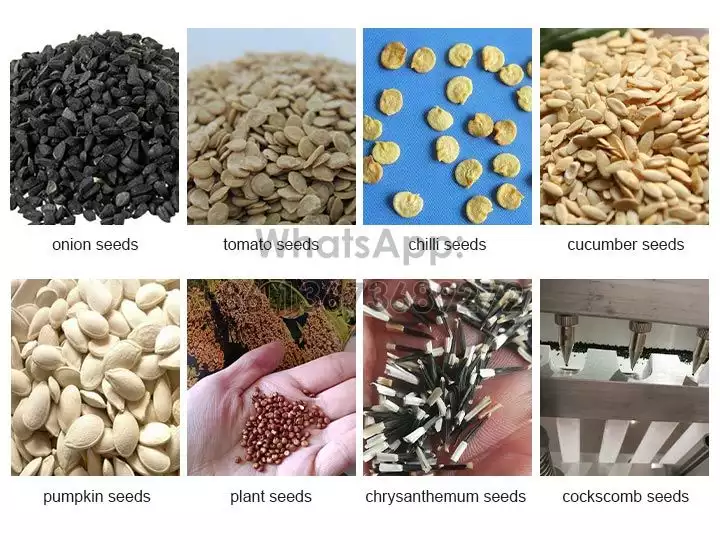 Semillas aplicables parciales para sembradora de vivero.