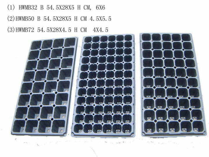 Seedling trays1