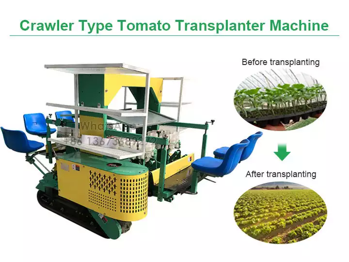 Crawler type tomato transplanter machine