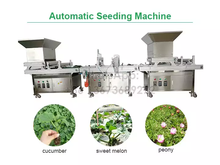 Automatic seeding machine