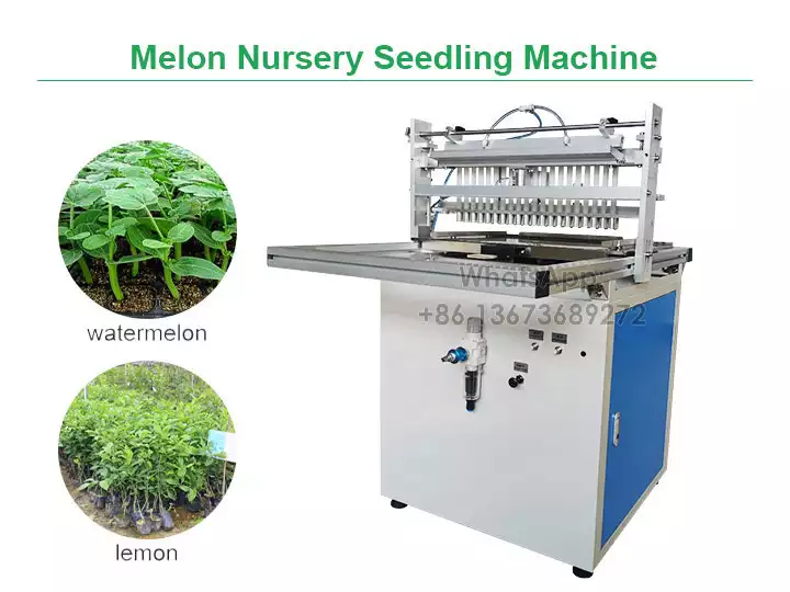 Melon Nursery Seedling Machine
