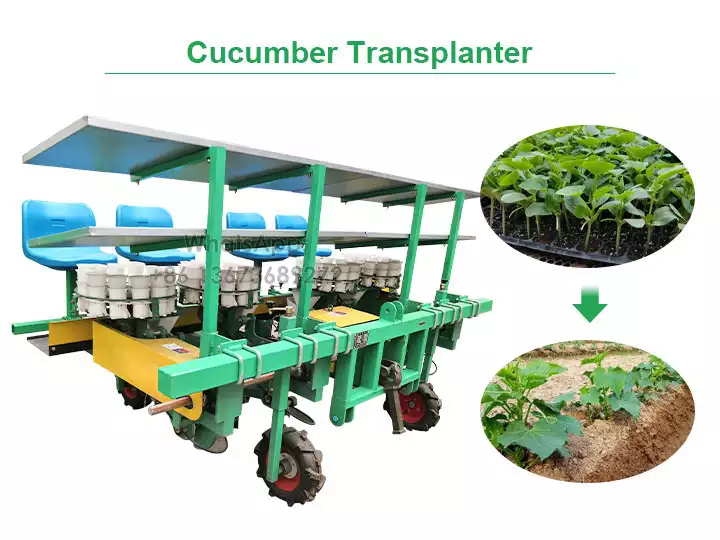 Cucumber Transplanter