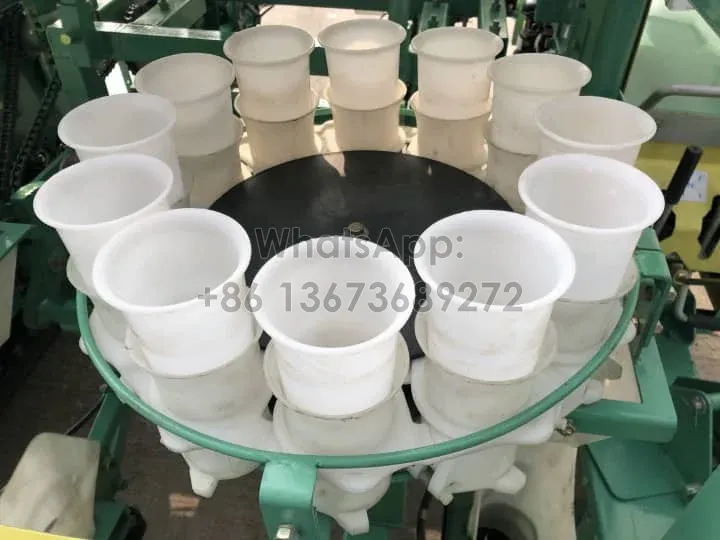 Seedling cups for onion planting